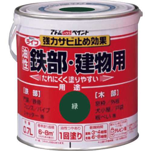 2024156.0, Oil-Base Paint foVr Iron And Wood  00001-00211  ATOMPAINT