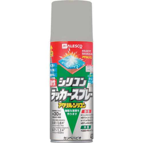 1784123.0, Oil-based Silicone Lacquer Spray  587640652420  KANSAI