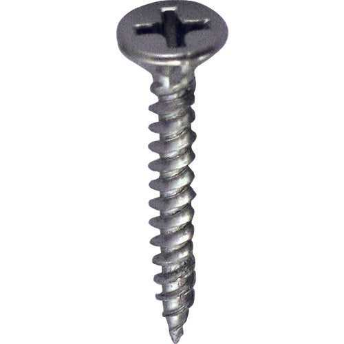 1469626.0, Screw For Light Gauge Steel(Stainless)  00041587  DAIDOHANT