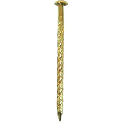 4937503.0, Screw Nail (Brass)  00046855  DAIDOHANT